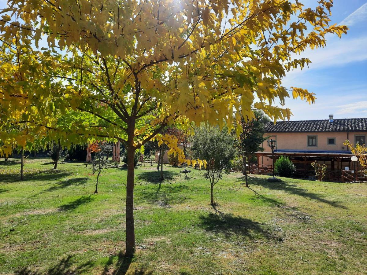 Sassomatto B&B Bioagriturelax Campogialli Exterior foto
